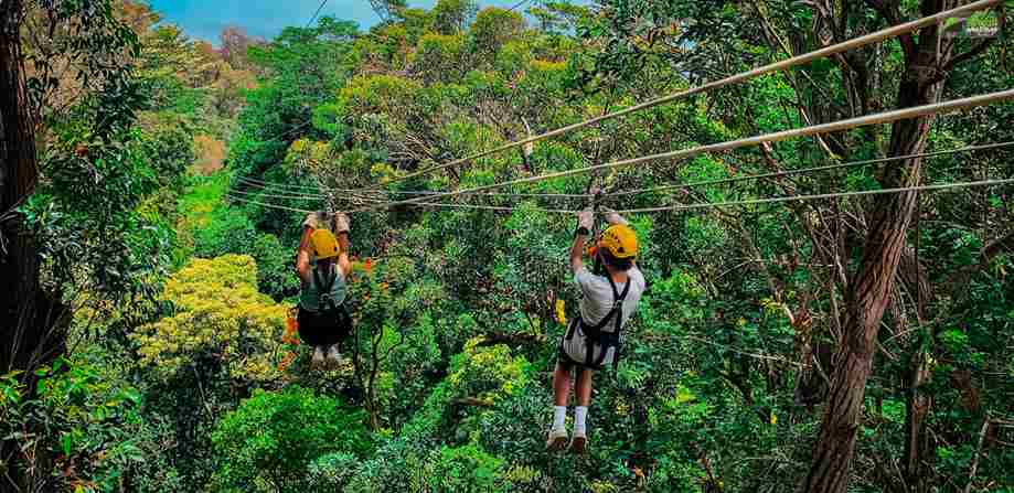 Living In Hawaii | The Ultimate Predeparture Guide!