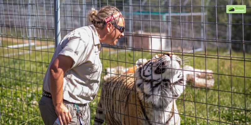 Animals In The Turpentine Creek Wildlife Refuge