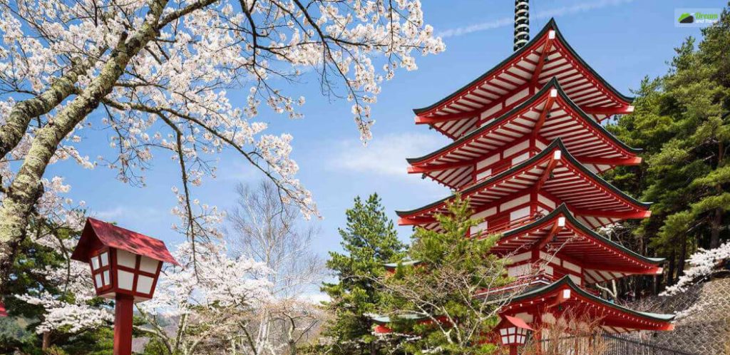 Best time to visit the country at a low rate