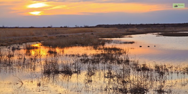 Bitter Lake National Wildlife Refuge