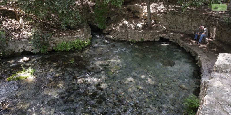 Comal Springs