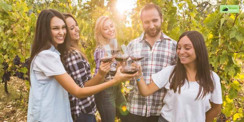 Connecticut Wine Trail