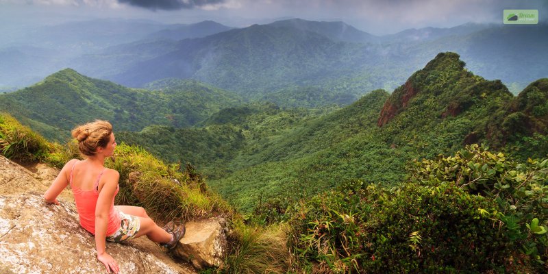 El Yunque National Rainforest