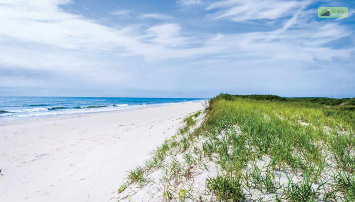 How To Get To Chincoteague