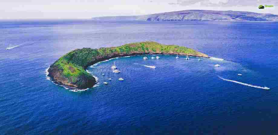 Living In Hawaii | The Ultimate Predeparture Guide!