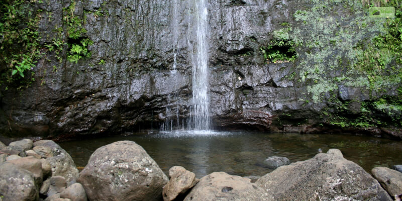 Manoa falls