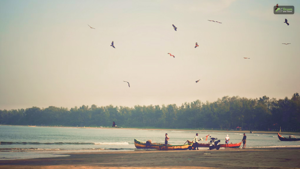 Muzhappilangad Drive-In Beach, Kannur, Kerala_ A Swimmer’s Paradise