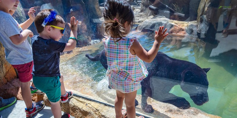 OC Zoo With The Kids!