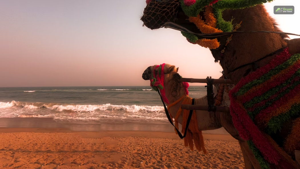Puri Golden Beach, Puri, Odisha_ A Coastal Getaway With Spiritual Significance