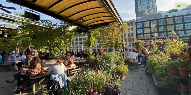 Rooftop Garden Bar