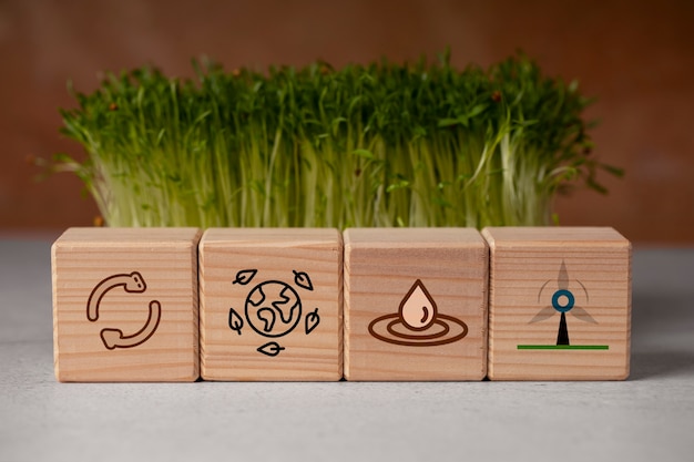 Environmental Considerations And Sustainability