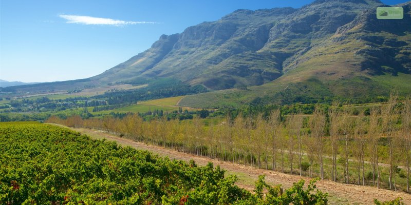 The Wine Reserve At Waterford