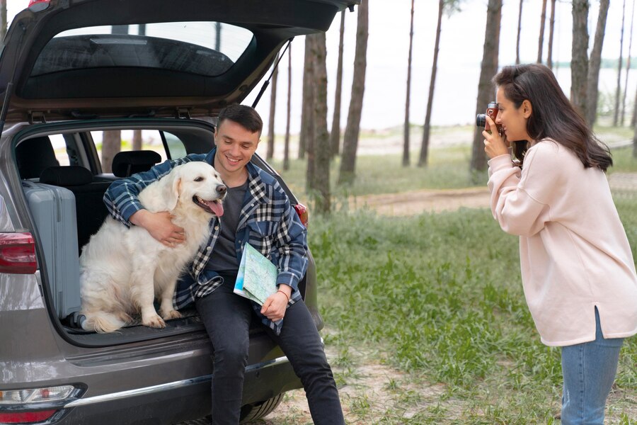 Tips For Traveling With Pets