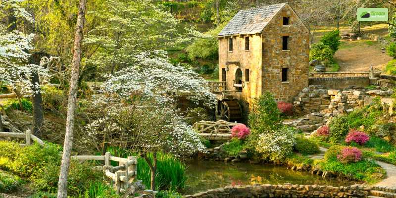 Trip To The Old Mill