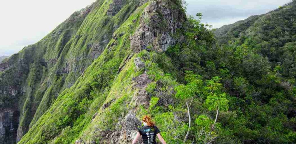 What Does The Crouching Lion Trail Have To Offer