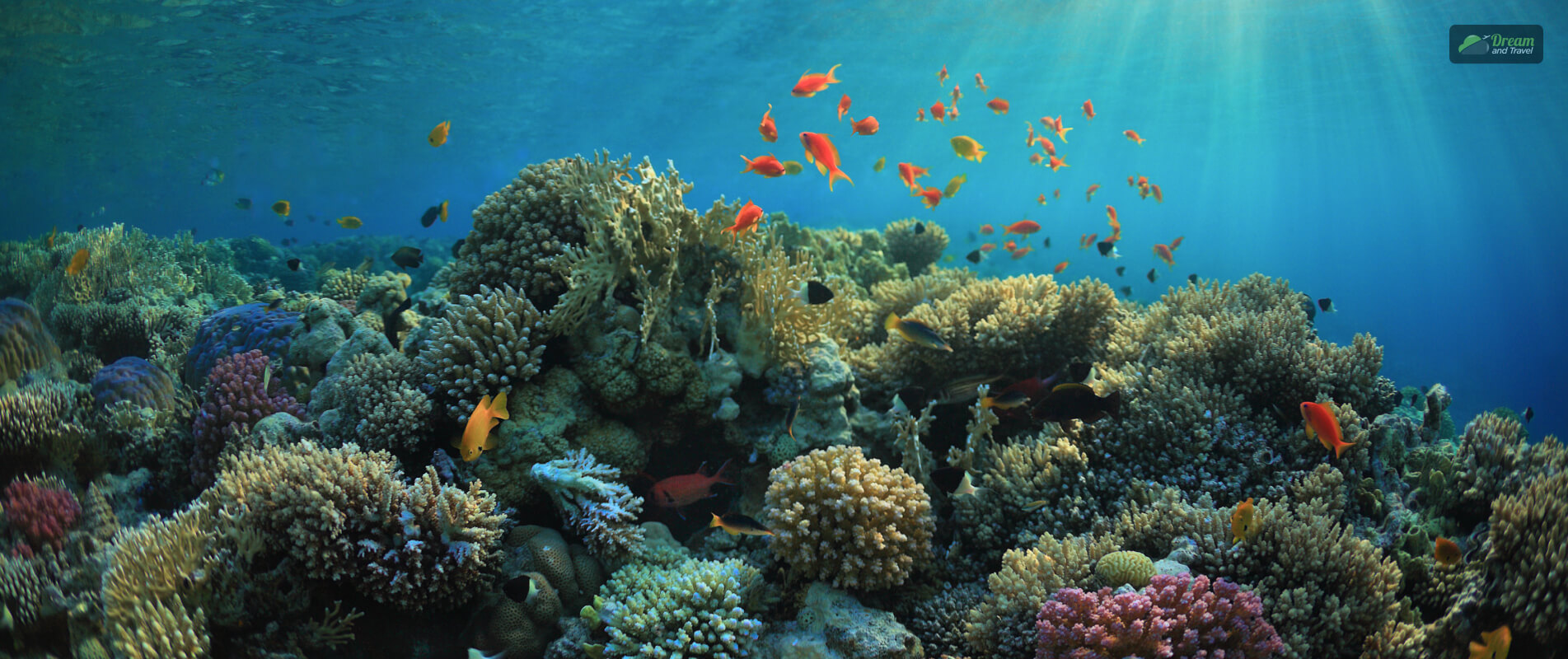 Why Is Lakshadweep Known As A Coral Island